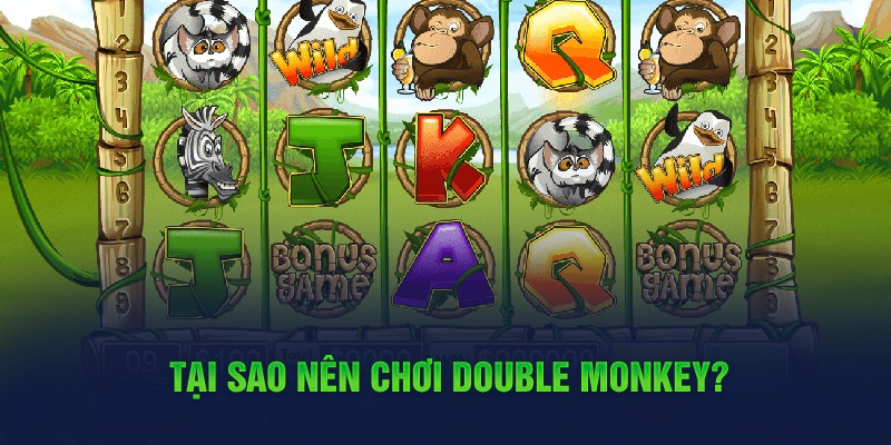 Double Monkey - Game Nổ Hũ Đang Dẫn Đầu Xu Hướng